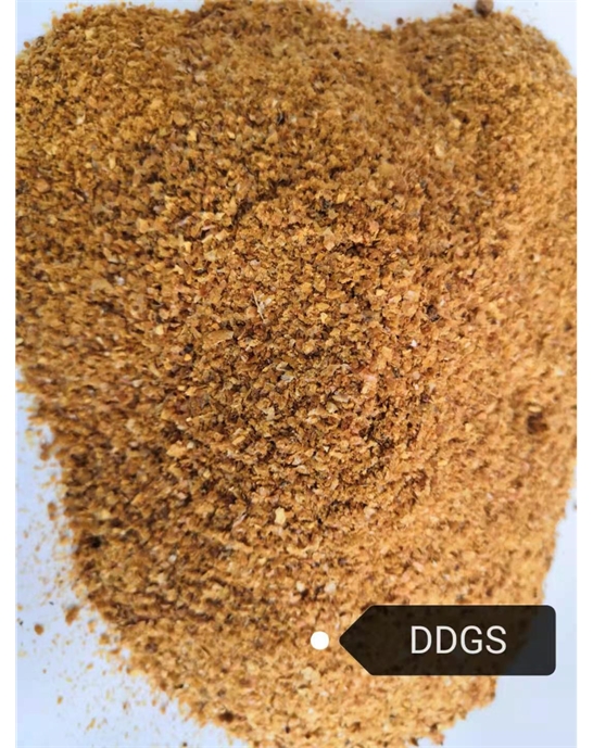 DDGS 被低估的谷物副產品，飼料與能源領域的綠色寶藏